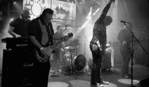 Radiation Puppy’s Musical Odyssey: Reviving Indie Rock from Baltimore